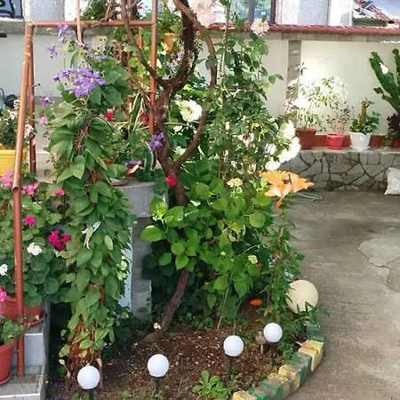 بيت ضيافة боневи