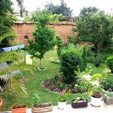 боневи * بافل بانيا